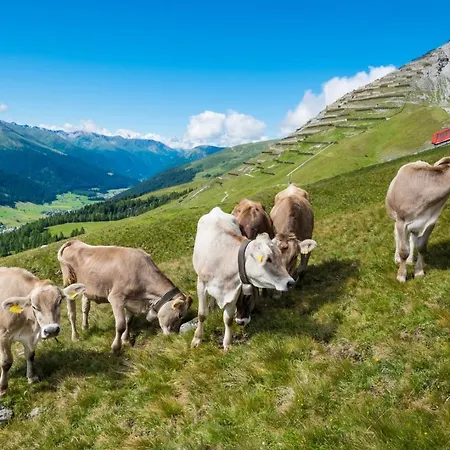 Schiferalp